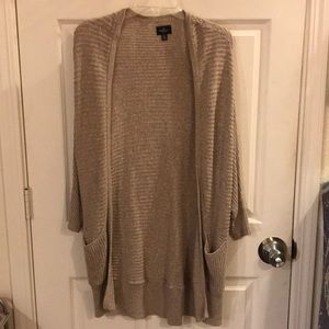 American Eagle Cardigan